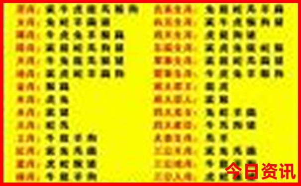 惠州海边去哪里旅游最好